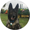 Mesarat Grimm profile picture